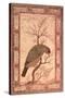 A Barbet (Himalayan Blue-Throated Bird) Jahangir Period, Mughal, 1615-Ustad Mansur-Stretched Canvas