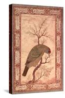 A Barbet (Himalayan Blue-Throated Bird) Jahangir Period, Mughal, 1615-Ustad Mansur-Stretched Canvas