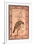 A Barbet (Himalayan Blue-Throated Bird) Jahangir Period, Mughal, 1615-Ustad Mansur-Framed Giclee Print