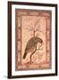 A Barbet (Himalayan Blue-Throated Bird) Jahangir Period, Mughal, 1615-Ustad Mansur-Framed Giclee Print