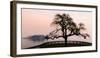 A bare tree at sunset next to Lake Maggiore with Isola Bella in the background, one of Borromeo Isl-Alexandre Rotenberg-Framed Photographic Print