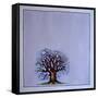 A Bare Tree in the Moonlight-Wendy Edelson-Framed Stretched Canvas