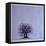 A Bare Tree in the Moonlight-Wendy Edelson-Framed Stretched Canvas