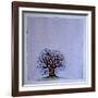 A Bare Tree in the Moonlight-Wendy Edelson-Framed Giclee Print