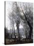 A Barge passing behind Trees on the Shore (Le Batelier passant derriere les Arbres de la Rive)-Jean-Baptiste-Camille Corot-Stretched Canvas