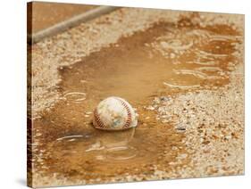 A Baseball Sits in a Puddle-null-Stretched Canvas