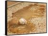 A Baseball Sits in a Puddle-null-Framed Stretched Canvas