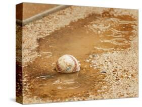 A Baseball Sits in a Puddle-null-Stretched Canvas