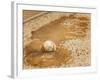 A Baseball Sits in a Puddle-null-Framed Photographic Print