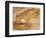 A Baseball Sits in a Puddle-null-Framed Photographic Print