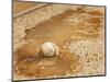 A Baseball Sits in a Puddle-null-Mounted Photographic Print