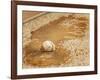 A Baseball Sits in a Puddle-null-Framed Photographic Print