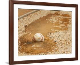 A Baseball Sits in a Puddle-null-Framed Photographic Print