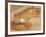 A Baseball Sits in a Puddle-null-Framed Photographic Print