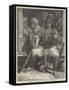 A Bashi-Bozouk-James Robertson-Framed Stretched Canvas