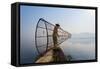 A Basket Fisherman on Inle Lake Prepares to Plunge His Cone Shaped Net, Shan State, Myanmar (Burma)-Alex Treadway-Framed Stretched Canvas