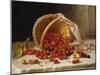 A Basket of Cherries-John F. Francis-Mounted Giclee Print