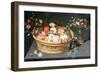 A Basket of Flowers, C1590-1625-Jan Brueghel the Elder-Framed Giclee Print