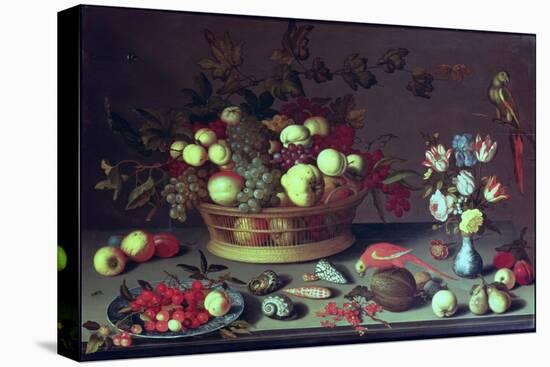 A Basket of Grapes and Other Fruit-Balthasar van der Ast-Stretched Canvas