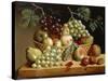 A Basket of Grapes, Apples, Peaches and other Fruit on a Ledge-null-Stretched Canvas