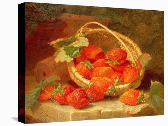A Basket of Strawberries on a Stone Ledge, 1888-Eloise Harriet Stannard-Stretched Canvas