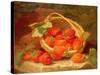 A Basket of Strawberries on a Stone Ledge, 1888-Eloise Harriet Stannard-Stretched Canvas