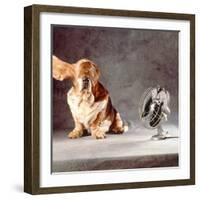 A Basset Who Is Sitting with "Flying" Ears in Front of a Ventilator-Ingo Boddenberg-Framed Photographic Print