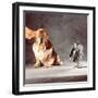 A Basset Who Is Sitting with "Flying" Ears in Front of a Ventilator-Ingo Boddenberg-Framed Photographic Print