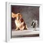 A Basset Who Is Sitting with "Flying" Ears in Front of a Ventilator-Ingo Boddenberg-Framed Photographic Print