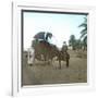 A Bassour, Touggourt (Algeria), Circa 1897-Leon, Levy et Fils-Framed Photographic Print