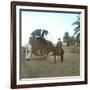 A Bassour, Touggourt (Algeria), Circa 1897-Leon, Levy et Fils-Framed Photographic Print