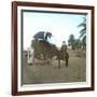 A Bassour, Touggourt (Algeria), Circa 1897-Leon, Levy et Fils-Framed Photographic Print