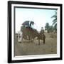 A Bassour, Touggourt (Algeria), Circa 1897-Leon, Levy et Fils-Framed Photographic Print