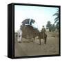 A Bassour, Touggourt (Algeria), Circa 1897-Leon, Levy et Fils-Framed Stretched Canvas