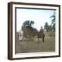 A Bassour, Touggourt (Algeria), Circa 1897-Leon, Levy et Fils-Framed Photographic Print