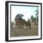 A Bassour, Touggourt (Algeria), Circa 1897-Leon, Levy et Fils-Framed Photographic Print