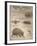 A Bat, Mole and Hedgehog-T. Deyrolle-Framed Giclee Print