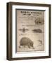 A Bat, Mole and Hedgehog-T. Deyrolle-Framed Giclee Print