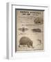 A Bat, Mole and Hedgehog-T. Deyrolle-Framed Giclee Print