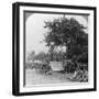 A Battery of Royal Field Artillery Enjoying a Few Hours Rest in a Wood, World War I, C1914-C1918-null-Framed Photographic Print