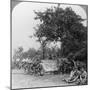 A Battery of Royal Field Artillery Enjoying a Few Hours Rest in a Wood, World War I, C1914-C1918-null-Mounted Photographic Print