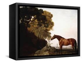 A Bay Arab in a Coastal Landscape, 1779-George Stubbs-Framed Stretched Canvas