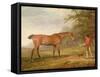 A Bay Horse Approached by a Stable-Lad with Food and a Halter, 1789-George Garrard-Framed Stretched Canvas