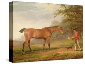 A Bay Horse Approached by a Stable-Lad with Food and a Halter, 1789-George Garrard-Stretched Canvas