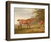 A Bay Horse Approached by a Stable-Lad with Food and a Halter, 1789-George Garrard-Framed Giclee Print