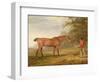 A Bay Horse Approached by a Stable-Lad with Food and a Halter, 1789-George Garrard-Framed Giclee Print