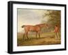 A Bay Horse Approached by a Stable-Lad with Food and a Halter, 1789-George Garrard-Framed Giclee Print