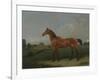 A Bay Horse in a Field-Edmund Bristow-Framed Giclee Print