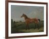 A Bay Horse in a Field-Edmund Bristow-Framed Giclee Print