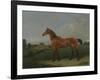 A Bay Horse in a Field-Edmund Bristow-Framed Giclee Print